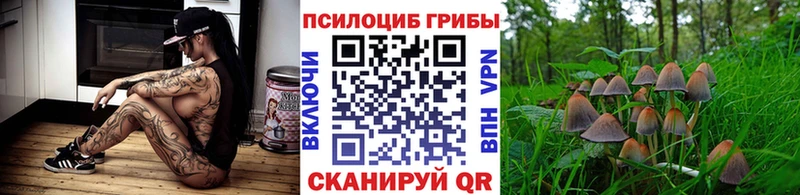 Галлюциногенные грибы Psilocybe  Углич 